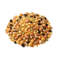 Ganze Mottenbohnen (Moth Beans)