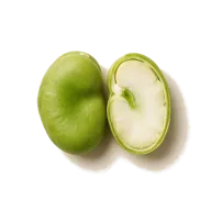 geschälte Ackerbohnen (Fava-Bohnen)