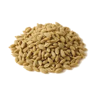 Ajowan (bishop’s weed)