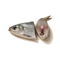 Anchovis-Filets (Dose), abgetropft und zerdrückt