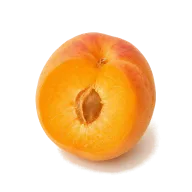 Aprikose