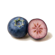 Blaubeeren (zum Servieren)