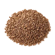 Chiasamen