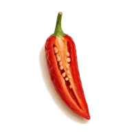 Rote Chilischote