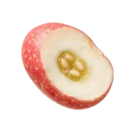 frische Cranberry-Bohnen