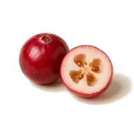 Ungezüßte getrocknete Cranberries