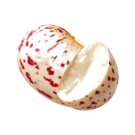 Gekochte Cranberry-Bohnen oder kleine rote Bohnen