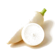 Daikon-Rettich (groß)