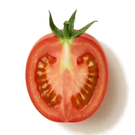reife Eiertomaten