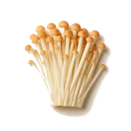 Enokitake-Pilze