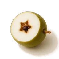 Junge Ente (küchenfertig)