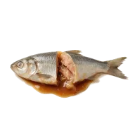 Thailändische Fischsauce