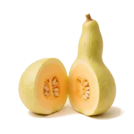 Flaschenkürbis (Bottle Gourd Squash)