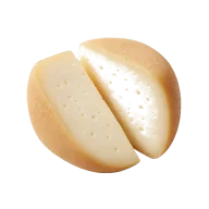 Fontina oder Gruyère Käse