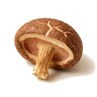 Getrocknete Shiitake-Pilze