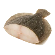 Glattbutt oder Steinbutt, in 50g Stücke geschnitten