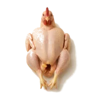 ganzer Hahn (oder Huhn), vorzugsweise aus Weidehaltung, in acht Teile zerlegt, Innereien und Karkasse reserviert