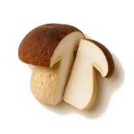 Herrenpilze (men's mushrooms)