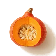 Hokkaido Kürbis