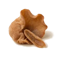 Getrocknete chinesische Judasohren (wood ear mushrooms)