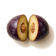 Kalamata-Oliven, entsteint, gehackt (60 ml)