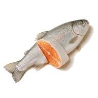 Lachsforellenfilets
