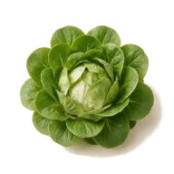 Löffelsalat (spoon salad)