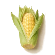 Maiskolben
