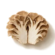 Maitake-Pilze (geputzt und in mundgerechte Stücke geschnitten)