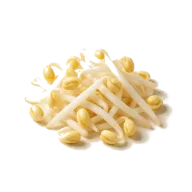 Mungbohnensprossen