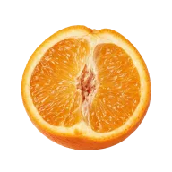 Bio-Orange (Abrieb) + 4 EL Orangensaft