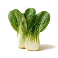 Pak Choi