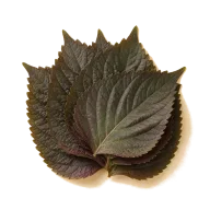 Perillablätter