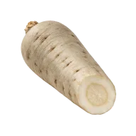 Petersilienwurzeln (geschabt, geschnitten)