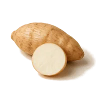 Pfeilwurzelmehl (Arrowroot starch)