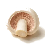 getrocknete Pilze