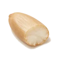 Pine nuts (Pinienkerne)