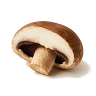 großer Portobello-Pilz