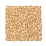 Langkornreis (weiß)