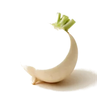 fein geriebener Riesenrettich (Daikon-oroshi)