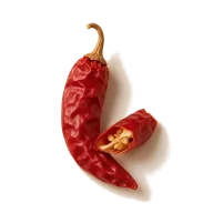 Frische rote oder grüne scharfe Chilischote (z.B. Jalapeño, Serrano oder Thai Bird), dünn geschnitten