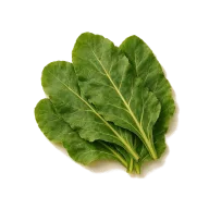 Rübengrün (Turnip Greens)