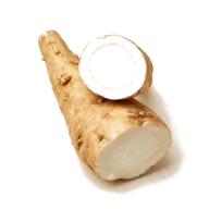 Sahnemeerrettich