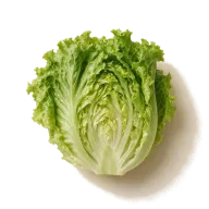 Salatblätter