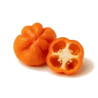 Scotch Bonnet Chili (entkernt, in ca. 12 Streifen geschnitten)
