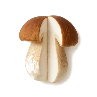getrocknete Steinpilze (rehydriert)