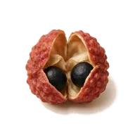 Szechuanpfeffer