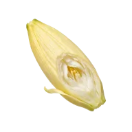 Getrocknete Taglilienknospen (daylily buds)