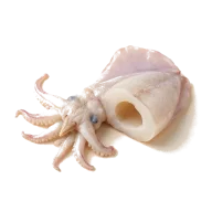 Tintenfisch (Stücke ca. 13 cm)