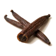 Vanilleextrakt